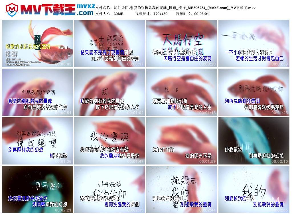 随性乐团-亲爱的别扼杀我的灵魂_国语_流行_MB306234